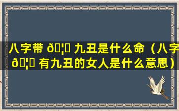 八字带 🦊 九丑是什么命（八字 🦄 有九丑的女人是什么意思）